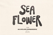 SeaFlower | Hand Drawn Surf Font, a Handwritten Font by Madeline ODonoghue Design (Thumbnail 7 of 12)