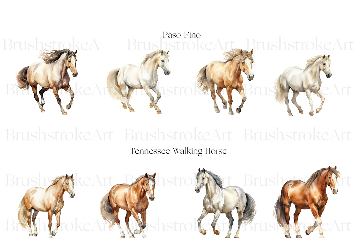 Horse Breeds Clipart, Appaloosa PNG, an Animal Illustration by BrushstrokeArtGB (Photo 3 of 9)