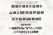Rustic, a Script Font by FreshTypeINK (Thumbnail 5 of 7)