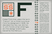 Falcon SS, a Sans Serif Font by Foundry73 (Thumbnail 6 of 6)