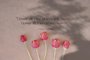 Natural Shadow Zen Overlays, a Texture Graphic by Feather & Sage Design (Thumbnail 4 of 14)
