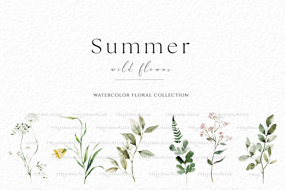Summer Wild Flower, a Decorative Illustration by heyiamalice (Photo 4 of 9)