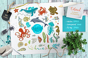 Ocean Underwater Life, an Animal Illustration by MaljukArt (Thumbnail 2 of 13)