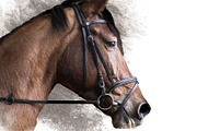 Portrait of a Horse II, an Animal Illustration by Digital Art Downloads (Thumbnail 3 of 4)
