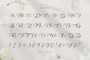 Willsyard | Modern Calligraphy, a Script Font by Denustudios (Thumbnail 10 of 12)