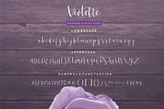 Violette Script Font, a Script Font by Sronstudio (Thumbnail 9 of 13)