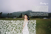 Vintage Lace Pieces Overlays, a Texture Graphic by Kaleriia (Thumbnail 5 of 18)