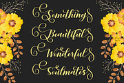 Spring Hearts, a Script Font by Rotterlab Studio (Thumbnail 6 of 7)