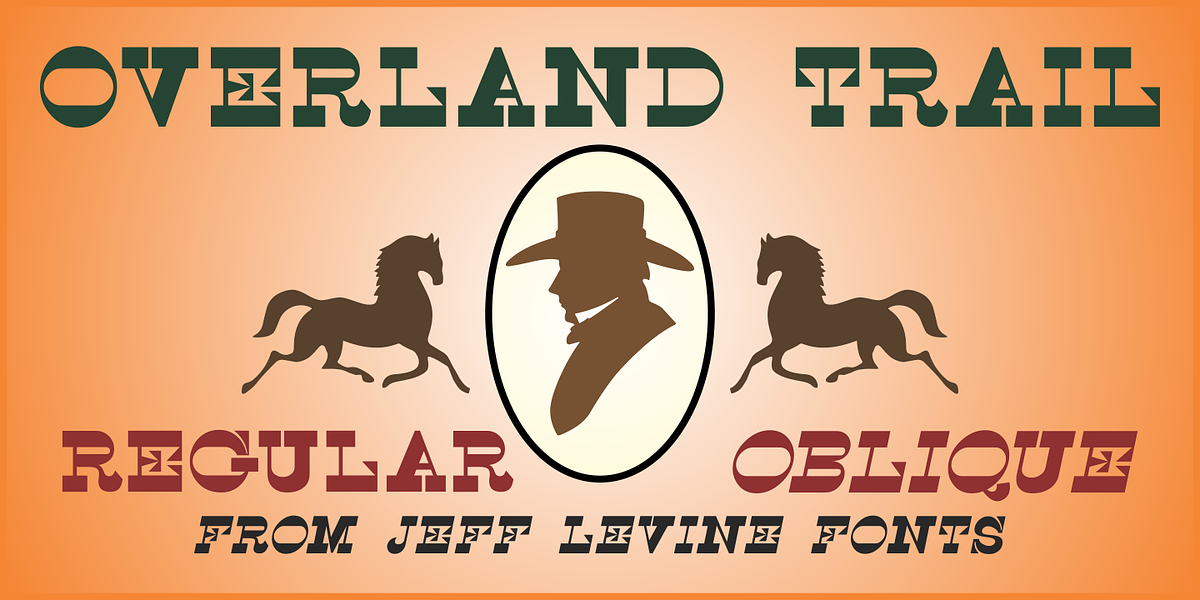 Overland Trail JNL, a Font by Jeff Levine Fonts (Photo 1 of 5)