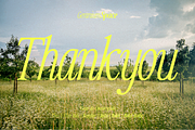 Countryside - A Modern Serif Family, a Serif Font by Megi Satyo Widodo (Thumbnail 21 of 22)