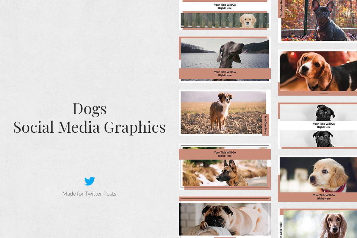 Twitter Posts Bundle, a Social Media Template by Social Corner Graphics (Photo 20 of 37)