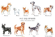 Watercolor alphabet dog breeds set, an Animal Illustration by Art and Funny (Thumbnail 2 of 5)