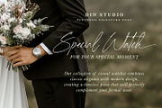 Pantheon Signature, a Script Font by din-studio.com (Thumbnail 5 of 10)