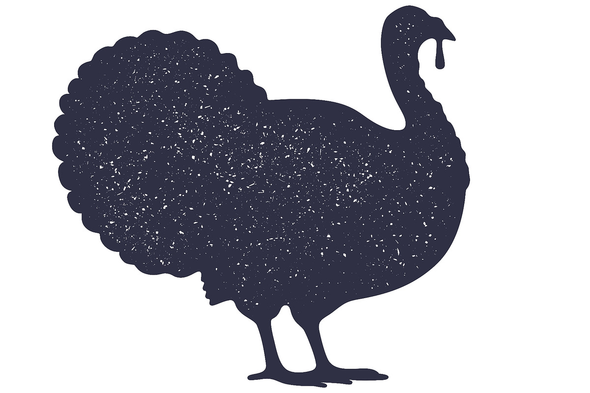 Turkey bird silhouette. Graphic, an Object Illustration by Foxys Graphic (Photo 2 of 3)