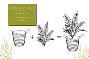 Home Plants Clipart Collection, a Graphic by Hand drawn Boutique (Thumbnail 6 of 10)