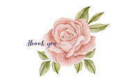 Watercolor Flowers & Cats collection, an Animal Illustration by Kira Konoshenko (Thumbnail 20 of 20)