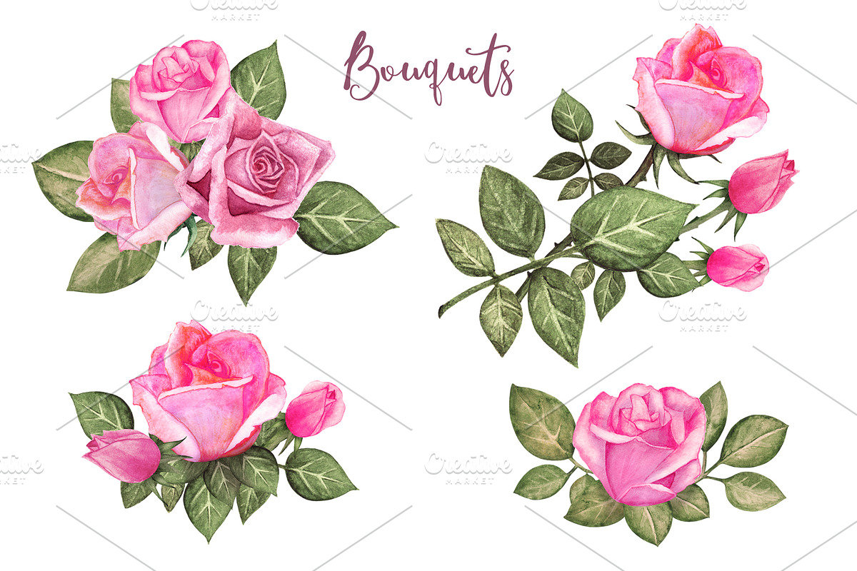 Watercolor Pink Roses, a Decorative Illustration by Color_Brush (Photo 5 of 9)
