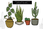 Home Plants Clipart Collection, a Graphic by Hand drawn Boutique (Thumbnail 8 of 10)