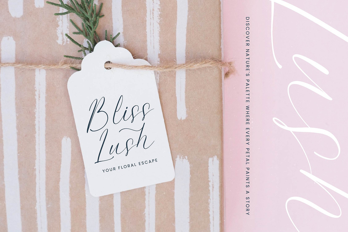 Petalip Orchid Modern Freestyle, a Script Font by Letterena Studios Script (Photo 2 of 15)