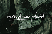 Artecallya, a Script Font by GlottaTypeface (Thumbnail 5 of 8)