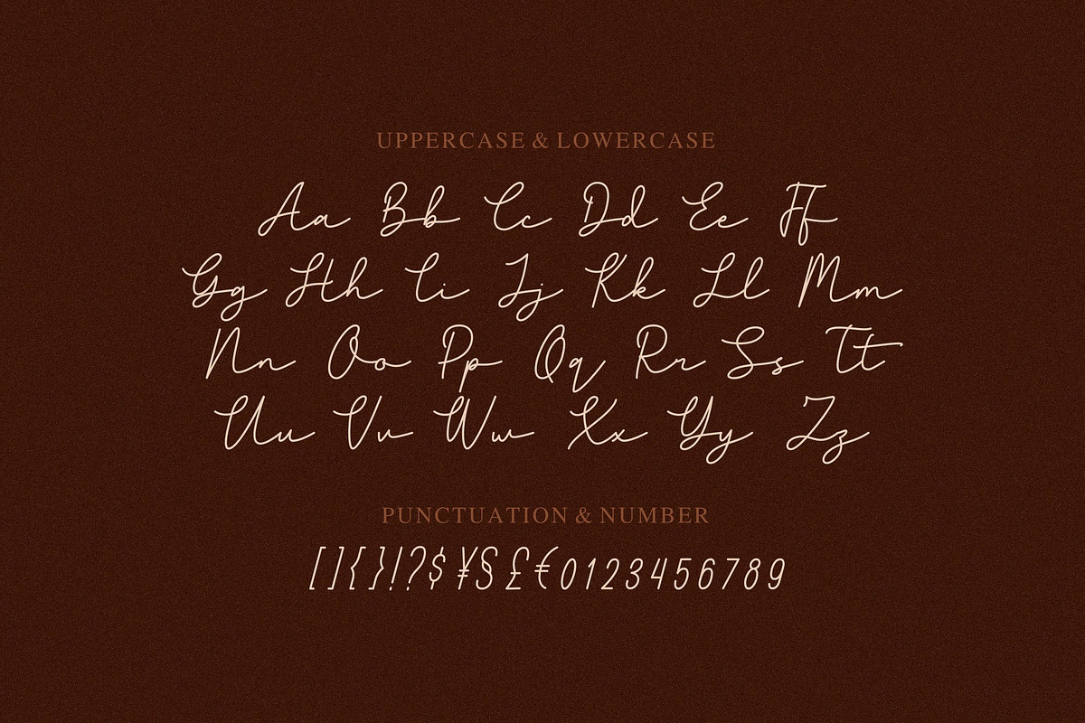 Sentinel Font, a Script Font by Haws.std (Photo 5 of 5)