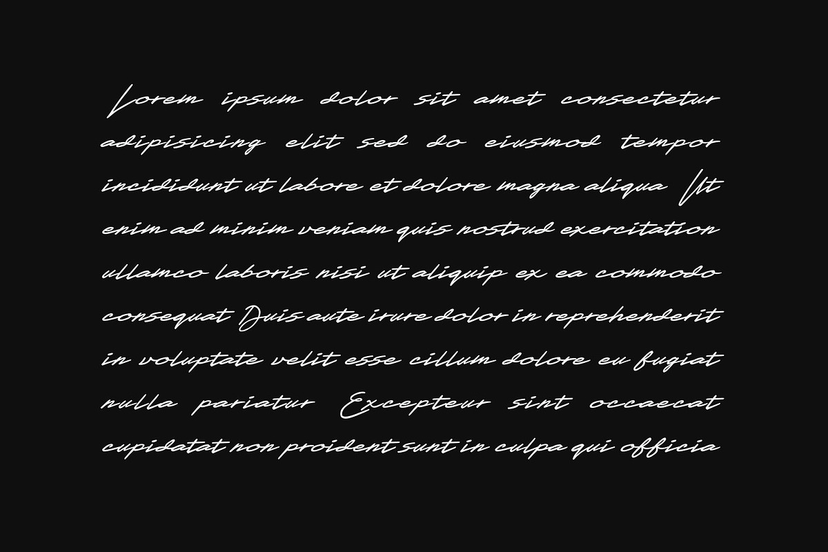 Xenasign Font, a Script Font by nIznaztype (Photo 4 of 6)