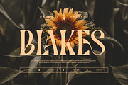 Blakes || Vintage Condensed Serif, a Font by Ermedia Studio (Thumbnail 1 of 10)