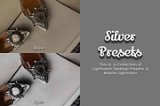 30 Silver Lightroom Collection, a Preset Add-On by 3Motional (Thumbnail 3 of 11)