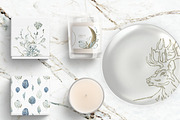 Frosty Forest Winter Collection, an Animal Illustration by Cat In Colour (Thumbnail 9 of 10)