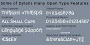 Dylan Copperplate, a Serif Font by Wiescher-Design (Thumbnail 3 of 6)