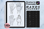 140+ hands anatomy procreate brushes, a Brush Add-On by Arts For Peace (Thumbnail 1 of 9)