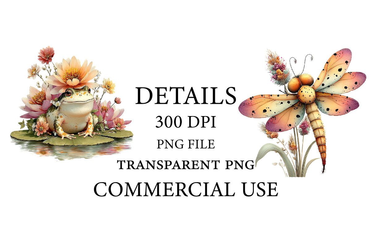 Summer Frog & Dragonfly Pond Clipart, a Seasonal Illustration by Designworld (Photo 3 of 10)