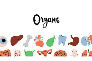 Organs horizontal banner. Internal, an Object Illustration by GraphiShop