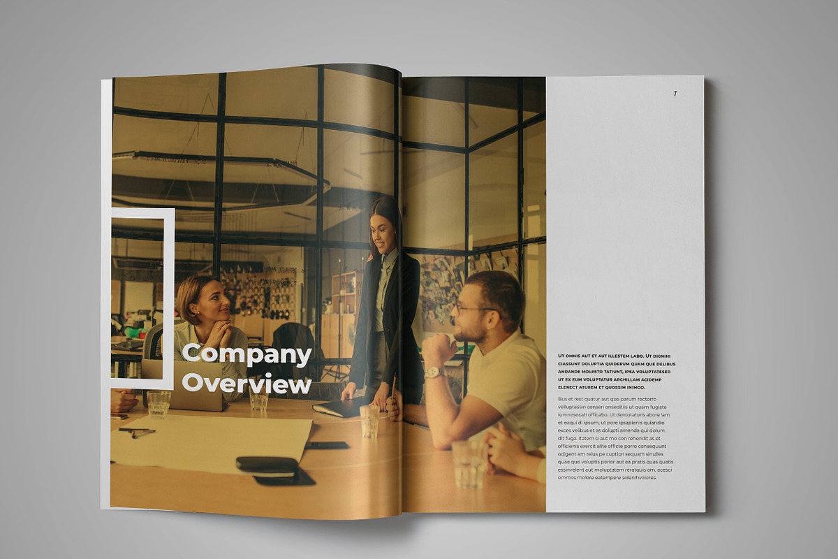 Employee Training Manual Template, a Brochure Template by StockInDesign (Photo 3 of 11)