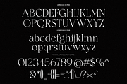 Luxury Ligature Serif Font - Galvore, a Serif Font by Say Studio (Thumbnail 10 of 10)