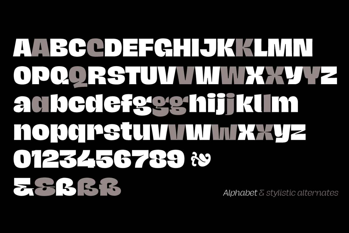 Hagrid 24 fonts + 4 variables preview 8