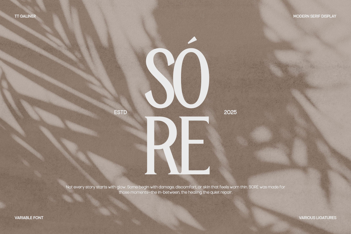 TT Galiner – Timeless Elegance Serif, a Serif Font by truetype (Photo 3 of 15)