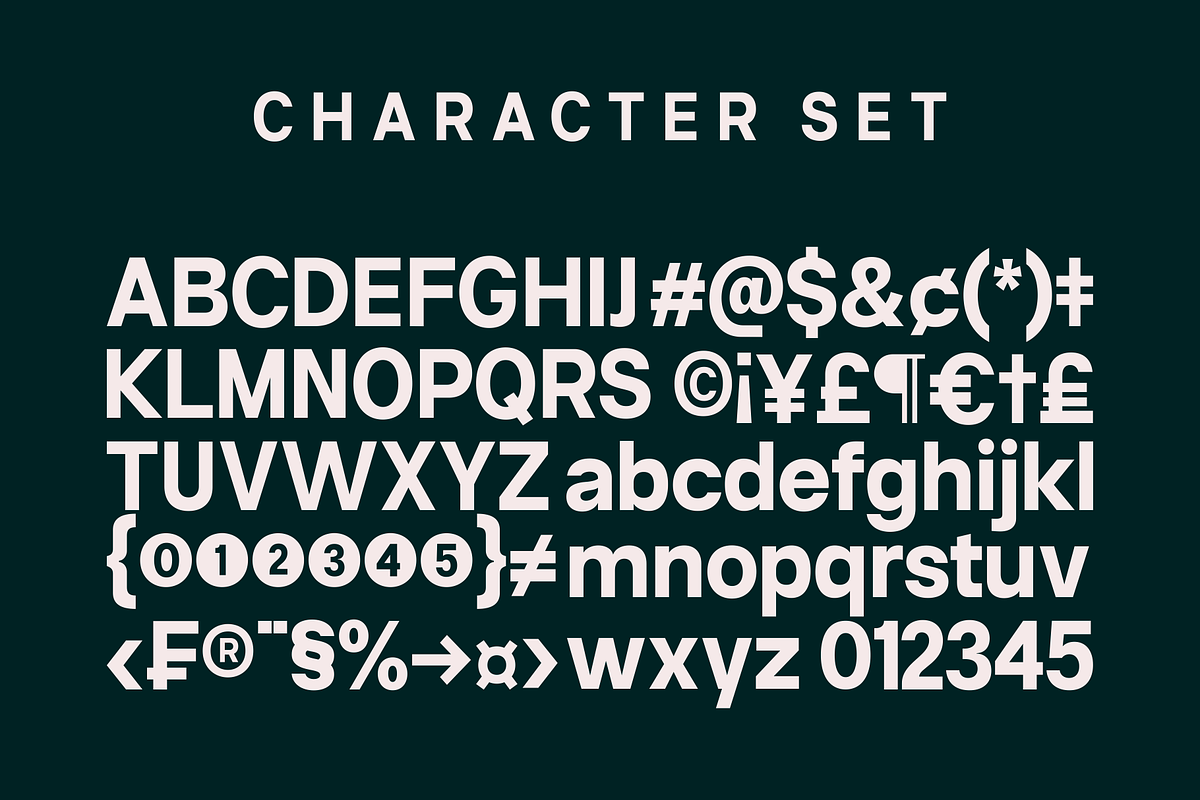 Neue Celso - Family Sans Serif, a Sans Serif Font by Marvadesign (Photo 9 of 11)