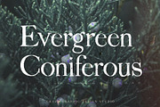 Juniper Vintage Serif Font, a Serif Font by Craft Graphic Type (Thumbnail 2 of 6)