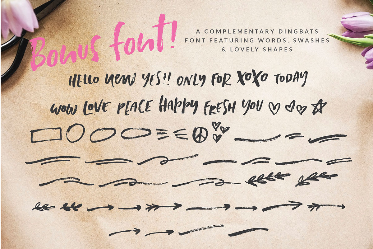 Paris Dreamer Script + Bonus font preview 8
