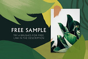 Tropics Photoshop&Procreate Brushes, a Brush Add-On by Struvictory.art (Thumbnail 8 of 8)