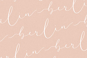 Amelie - Chic & Elegant Script Font, a Script Font by SilverStag Type Foundry (Thumbnail 5 of 23)