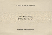 Velour Ink Textured Serif Duo, a Serif Font by Mneme (Thumbnail 8 of 9)
