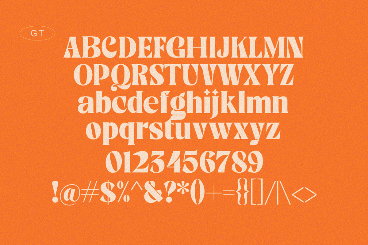 Dealing, a Serif Font by Gatype (Photo 10 of 12)