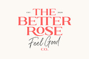 Brushine Collective Font, a Serif Font by trustha (Thumbnail 6 of 15)