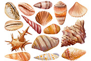 Seashells and fish, watercolor, an Animal Illustration by Hanna Hryharenka (Thumbnail 18 of 20)