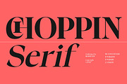 Choppin Serif | 91 Style Font, a Serif Font by Bosstype Studio (Thumbnail 1 of 15)