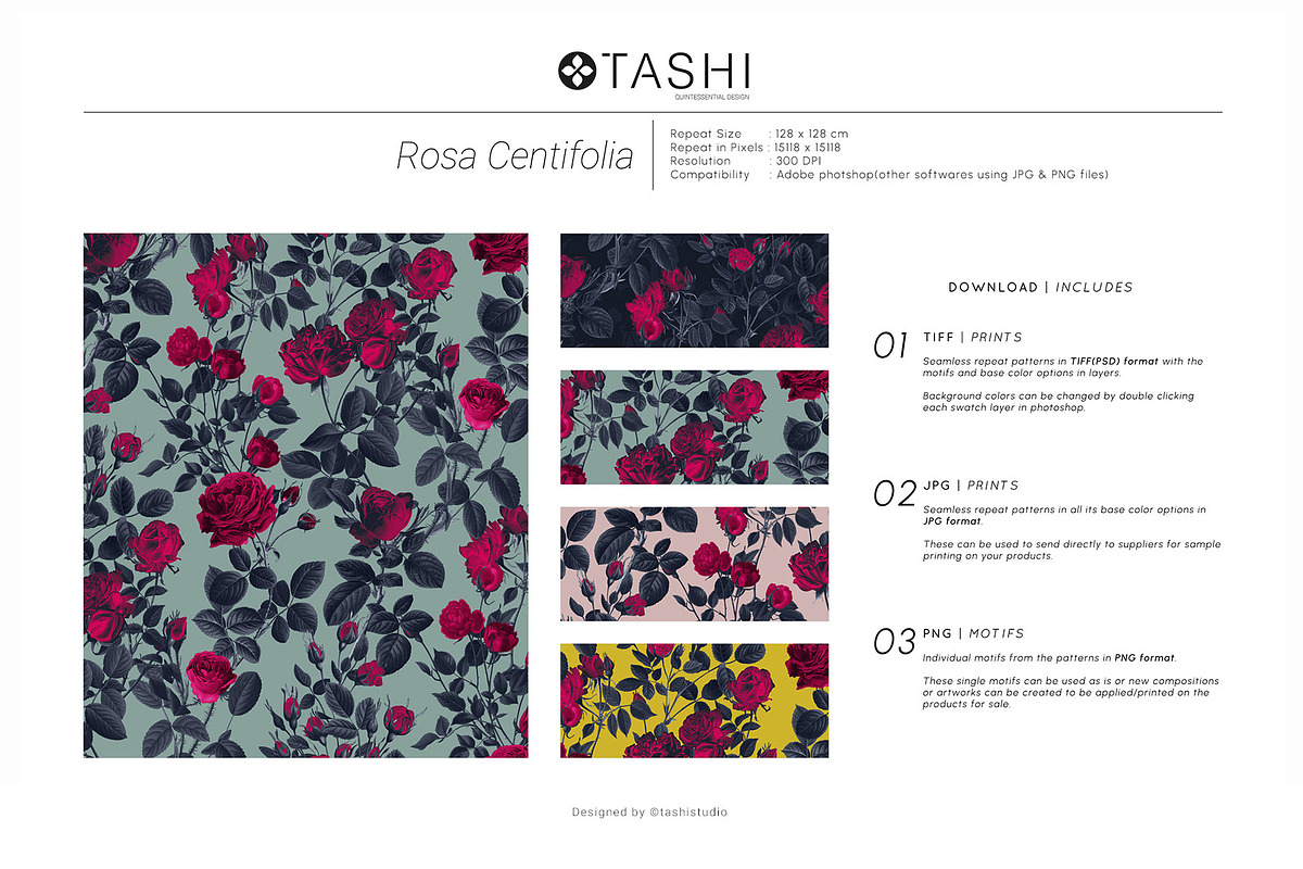 Rosa Centifolia surface pattern design