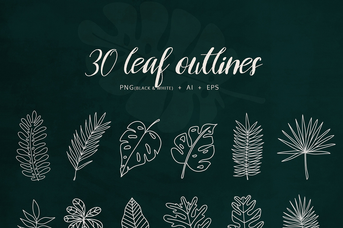 Tropical Leaves & Patterns, an Illustration by amber&ink (Photo 2 of 9)