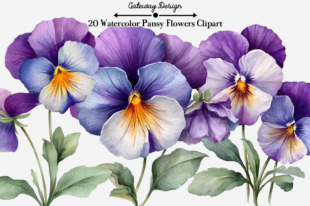 Watercolor Pansy Flowers Clipart, an Illustration by GatewayDesign (Photo 1 of 6)